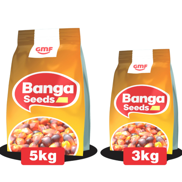 GFM Banga Seed