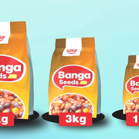 GFM Banga Seed